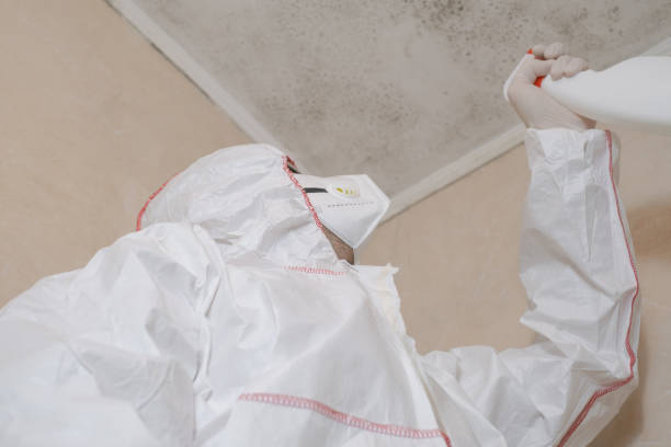 Best Residential Mold Removal  in Young Harris, GA